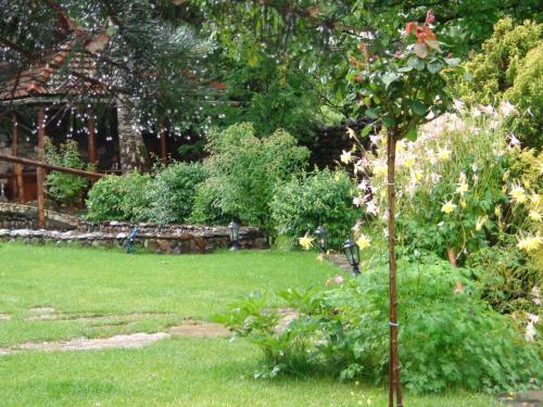 a garden with a tree in the grass at Eco Garden Dilijan in Dilijan