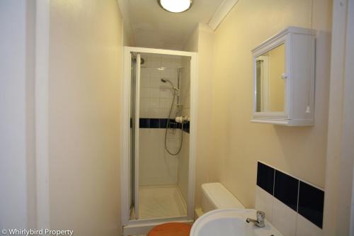 a bathroom with a shower and a toilet and a sink at Aston Henry James William Street Close to Reading Town Centre in Reading