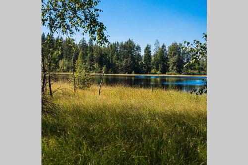 a lake in a field with grass and a tree at Gästehaus Kohlberg in Kohlberg