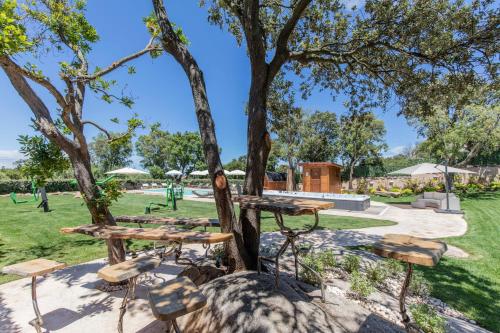 a picnic table and benches under a tree in a park at Antica Fonte Holiday Homes in San Pantaleo