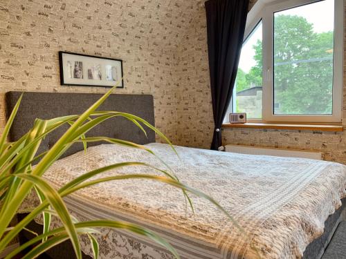 a bedroom with a bed with a plant next to a window at Private Villa with sauna, hot tub, playground and outside lounge area in Pärnu