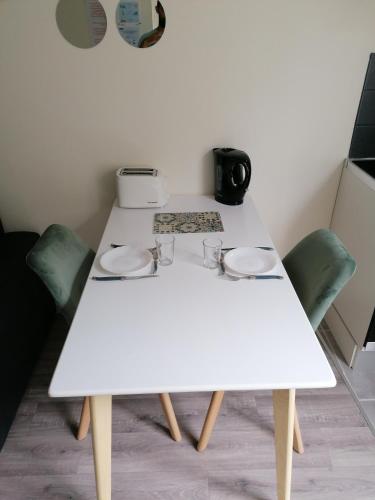 a white table with green chairs in a room at Petit studio hypercentre d'Orléans avec jardin in Orléans