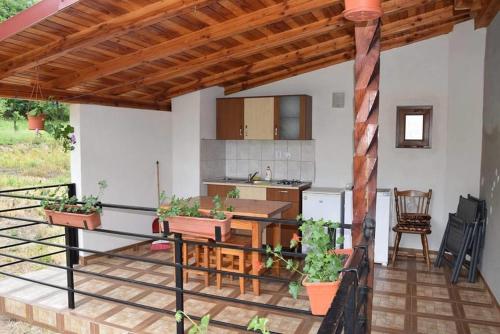 eine Terrasse mit einer Küche und einem Tisch mit Pflanzen in der Unterkunft Casa Visescu in Băile Herculane
