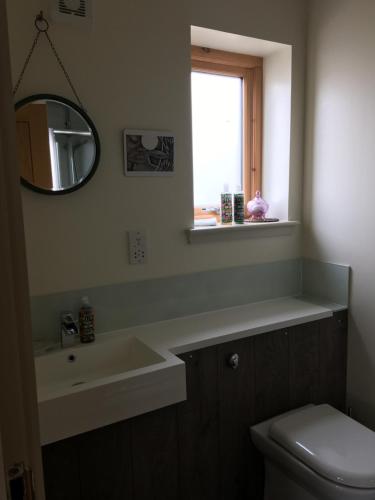 a bathroom with a sink and a mirror and a toilet at 40 Bernisdale - The Sabhal in Skeabost