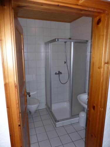 a bathroom with a shower and a toilet and a sink at Zum Kaiserwirt in Heppenheim an der Bergstrasse