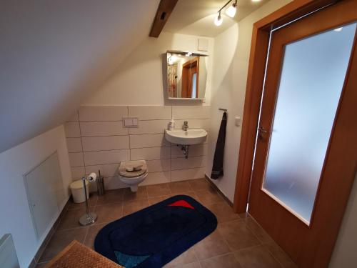 a small bathroom with a sink and a toilet at Loft auf dem Land in Ludwigslust