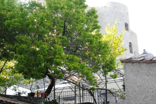 ein Baum vor einem Gebäude mit einem Turm in der Unterkunft Il Nibbio - Il Rifugio del Viandante in Morano Calabro
