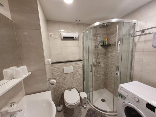 La salle de bains est pourvue d'une douche, de toilettes et d'un lavabo. dans l'établissement Apartma Meta, à Radovljica