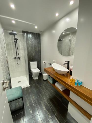 a bathroom with a sink and a toilet and a shower at EL CORAZON DE ZAMORA Garaje Gratis in Zamora