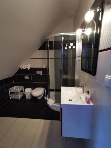 a bathroom with a sink and a shower and toilet at POD DEBEM Kompleks Zeglarsko-Rekreacyjny in Ruciane-Nida