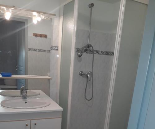 La salle de bains est pourvue d'une douche et d'un lavabo. dans l'établissement Studio Appart Verdon, à Allemagne-en-Provence