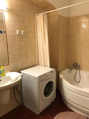 ブダペストにあるCorso Apartmentのトイレの隣に洗濯機が付いたバスルームがあります。