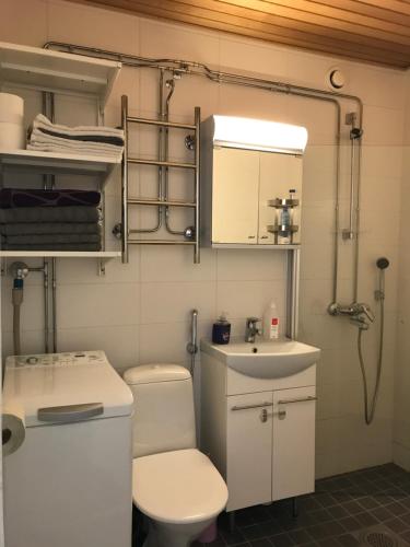 La salle de bains est pourvue de toilettes et d'un lavabo. dans l'établissement Rauhalantie Studio, à Lovisa