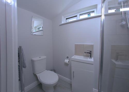 a white bathroom with a toilet and a sink at The Cabin @ Willowmere (Garden Log Cabin) in Clane