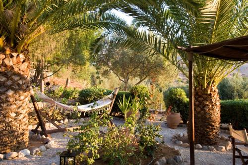 a hammock in a garden with trees and plants at Yiannis Retreat in Káto Zákros