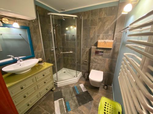 W łazience znajduje się umywalka i prysznic. w obiekcie Bronki - Hope Well Farms w mieście Lipnica