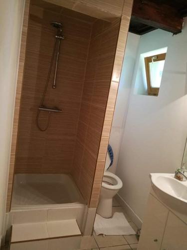 a bathroom with a shower and a toilet and a sink at Panoráma Vendégház in Golop