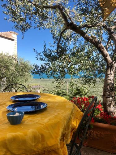 a yellow table with two blue plates on it at Villa in Gargano - VILLA BASSO in Monte SantʼAngelo