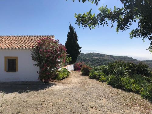 Foto Casa La Dehesa 5