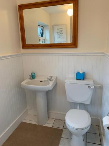 a bathroom with a toilet and a sink and a mirror at Creamery Cottage in Kenmare