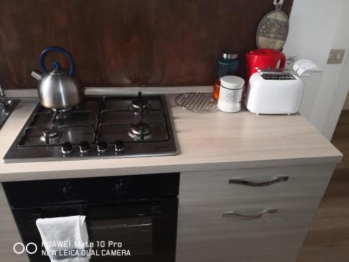 a kitchen counter with a stove and a sink at Trastevere four seasons Glorioso in Rome