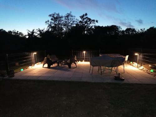 two dogs walking on a patio at night at La Parisiere in Gavray