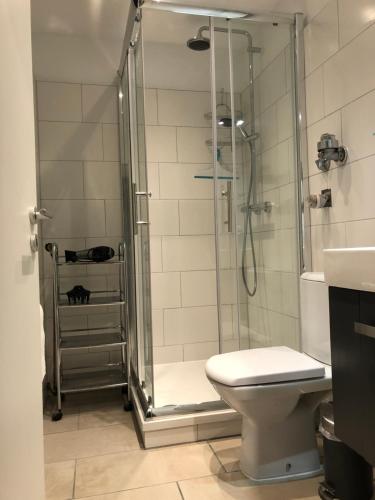 een badkamer met een douche, toilet en wastafel bij Ferienwohnung Linnea - TOP Lage direkt in Braunlage in Braunlage