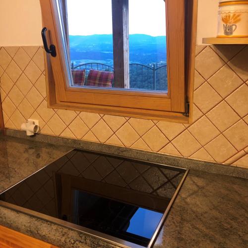 a glass door in a counter with a window at Vineyard Cottage Janko & Metka in Otočec