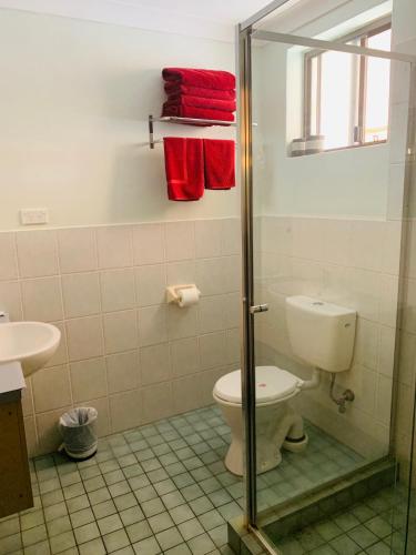 a bathroom with a toilet and a glass shower stall at Anna Bella Motel Glen Innes in Glen Innes