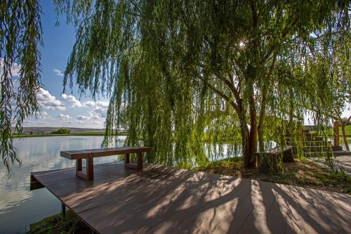 a wooden bench sitting under a tree next to a lake at Ambassadori Kachreti Golf Resort in Kachretʼi