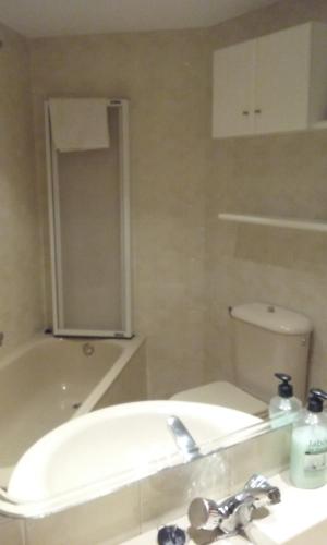a bathroom with a sink and a tub and a toilet at apartamento Valles Blancos 3-6 in Biescas