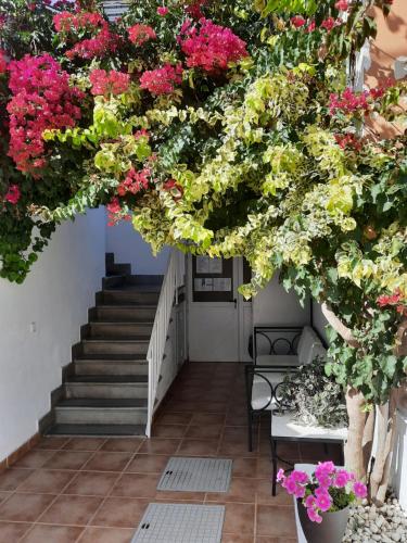 una habitación llena de flores en Hostal Costa, en Ibiza