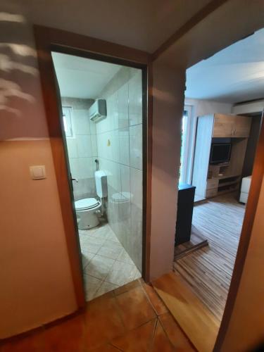 uma casa de banho com um WC e uma porta de vidro em Apartment at Tony em Semič