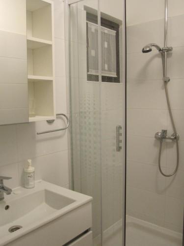 a bathroom with a shower and a sink at Zaglav Iva in Martinšćica