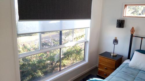 a bedroom with two large windows and a blue couch at Corner Cottage Rear Studio - Attached - Geneva in Kyogle in Kyogle
