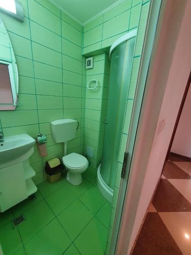 a green bathroom with a toilet and a shower at Steluta in Eforie Nord
