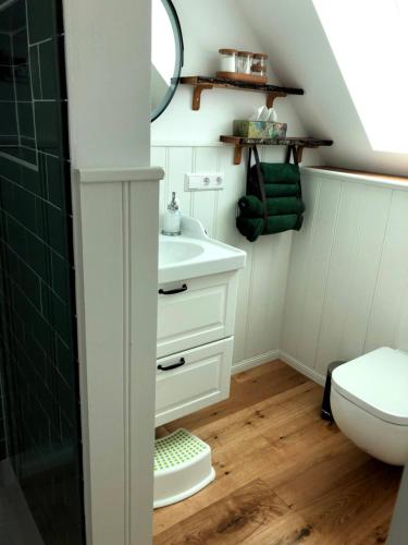 a bathroom with a sink and a toilet at Ferienwohnung Kleiner Onkel in Uhldingen-Mühlhofen
