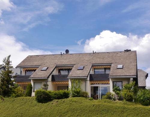 una casa en la cima de una colina verde en Fewo Blumes Bergfrieden mit MeineCardPlus, en Willingen