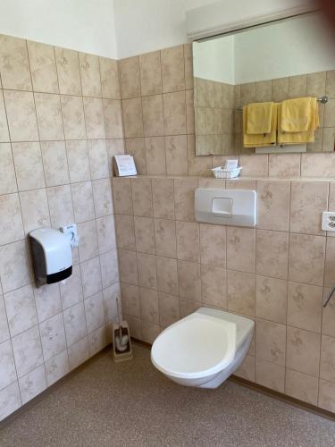 ein Badezimmer mit einem weißen WC und einem Spiegel in der Unterkunft Gasthaus Edelweiss in Langwies