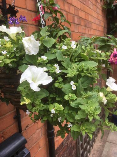 a bunch of white flowers on a brick wall at Elmdon Lodge in Birmingham