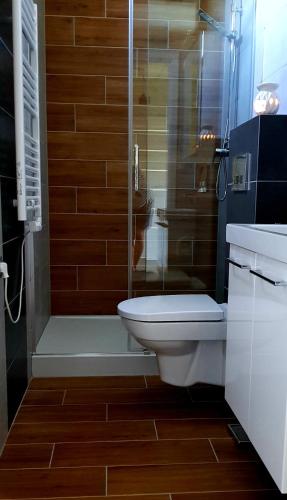 a bathroom with a shower and a toilet and a glass shower at Agro Relax Nowodwór 2 in Nowodwór