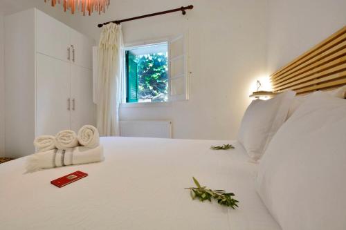 Minimalist Cozy House