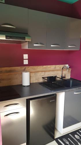 a kitchen with a sink and a counter top at Le lodge origin in Sainte-Suzanne