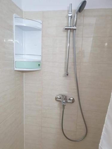 a shower with a shower head in a bathroom at Apartament Alina in Saturn