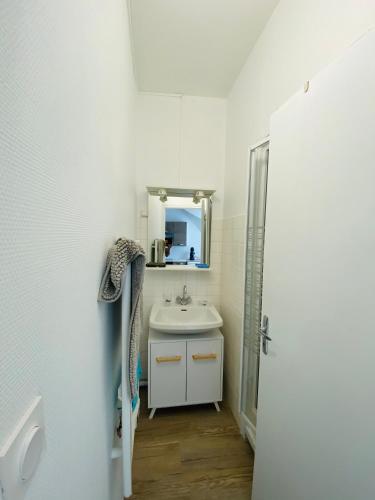 une salle de bain avec un lavabo et un miroir dans l'établissement résidence les pâquerettes N 1, à Le Mont-Dore