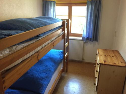 1 Schlafzimmer mit 2 Etagenbetten und einem Fenster in der Unterkunft Küferhof in Mellau