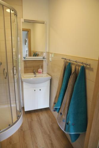 a bathroom with a sink and a shower and a mirror at Cienisty Zakątek in Augustów