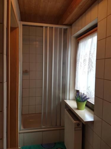 Friesau的住宿－Gasthaus Goldner Löwe，带淋浴的浴室和窗户。