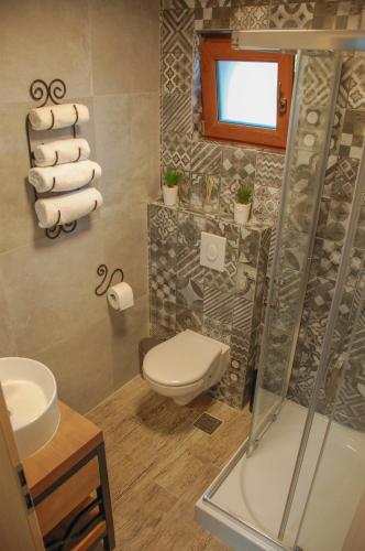 a bathroom with a shower and a toilet and a sink at Chalet Mugure de Brad in Fundu Moldovei