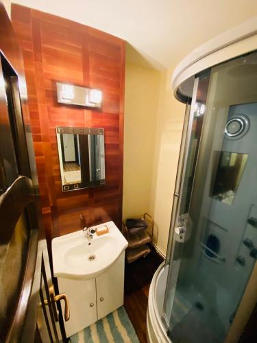 een badkamer met een wastafel en een douche bij City Centre Apartment in Reghin